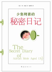 少年阿莫的秘密日记2出版了吗